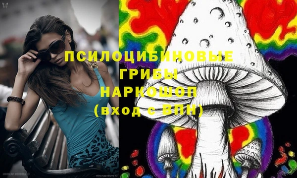 гидропоника Белокуриха