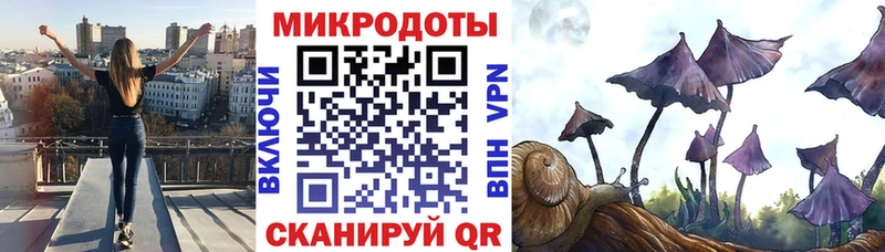 OMG Жирновск Псилоцибиновые грибы прущие грибы