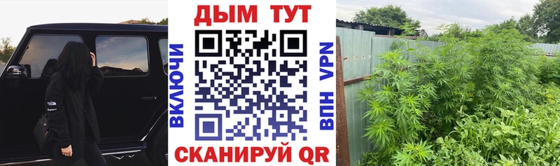 shop Telegram  Жирновск  Марихуана марихуана 